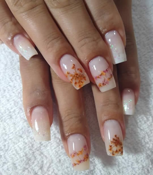 Featured image of post Unhas Encapsuladas Com Flores As flores secas s o para encapsulamento de unhas